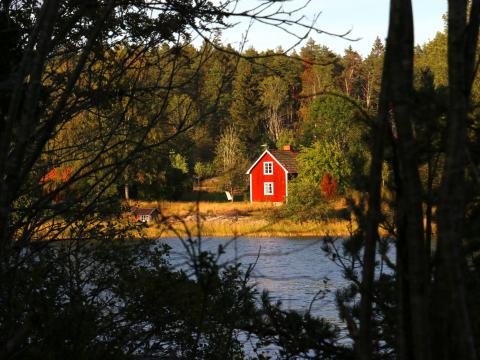 Forest Trees House River Landscape Nature