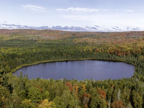 Forest Trees Lake Aerial-view Autumn Landscape
