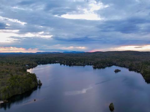 Forest Trees Lake Landscape Aerial-view