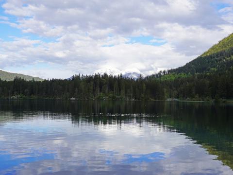 Forest Trees Lake Mountains Landscape