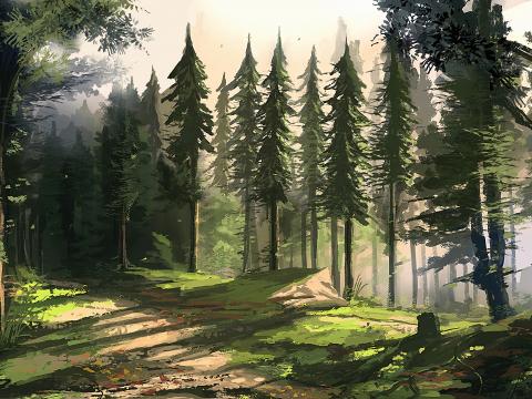 Forest Trees Nature Landscape Art