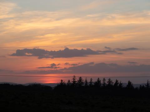 Forest Trees Silhouettes Clouds Twilight Dark