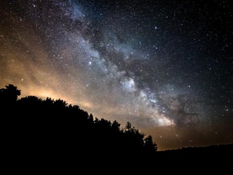 Forest Trees Silhouettes Stars Night Milky-way