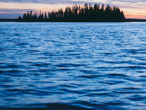 Forest Trees Silhouettes Water Waves Landscape