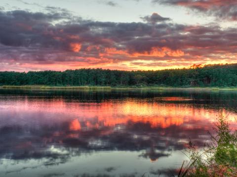 Forest Trees Sunset Lake Reflection Landscape