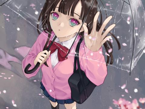 Girl Glance Umbrella Rain Anime