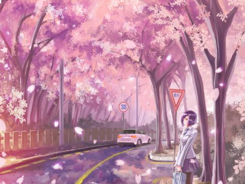 Girl Road Transition Sakura Live Anime Art