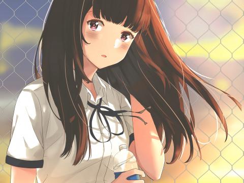 Girl Uniform Fence Mesh Anime