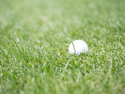 Golf Ball Grass Sport