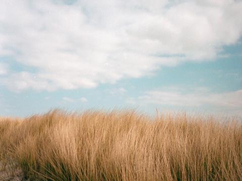 Grass Sky Clouds Summer Nature