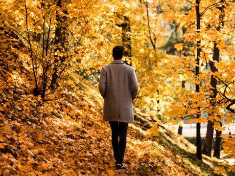 Guy Coat Alone Park Trees Leaves Autumn
