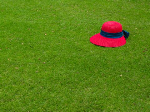 Hat Grass Lawn Green Red
