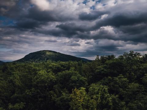 Hill Trees Clouds Landscape Nature