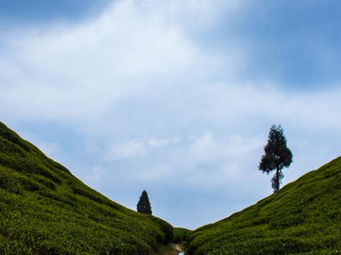 Hills Greenery Stream Landscape Nature