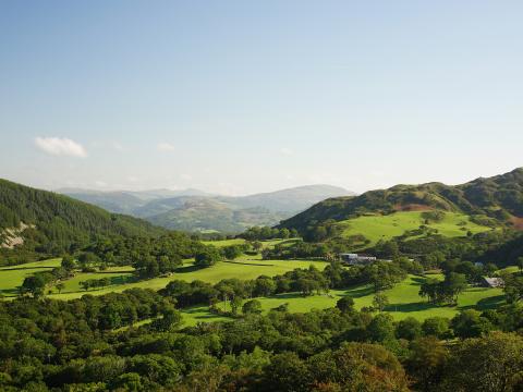 Hills Trees Houses Landscape Aerial-view