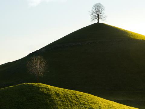 Hills Trees Nature Landscape Green