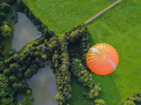 Hot-air-balloon Trees Field Aerial-view