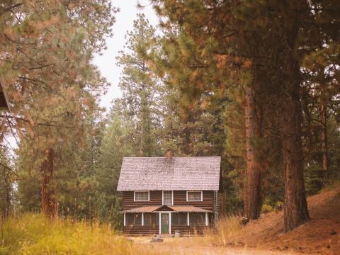 House Path Forest Trees Nature