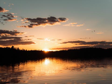 Lake Forest Sun Sunset Dark