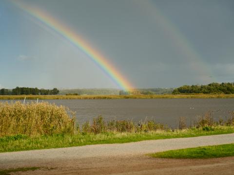 Lake Horizon Rainbow Landscape Nature