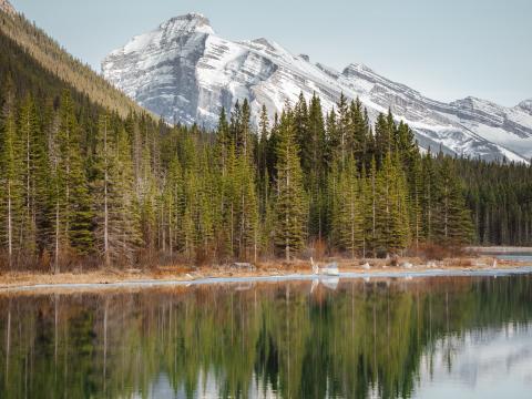 Lake Mountains Forest Trees Landscape