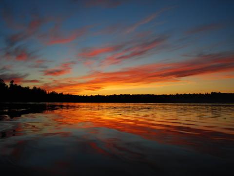 Lake Sunset Water Forest Trees Dark