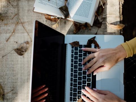 Laptop Hands Work Leaves Autumn Aesthetics