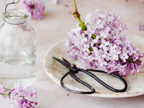 Lilac Flowers Scissors