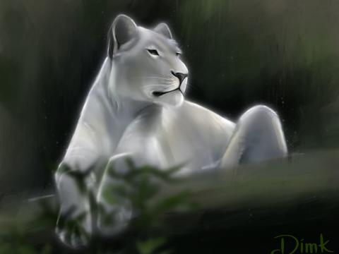 Lioness Lion Glance Predator Art