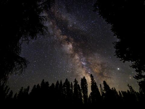 Milky-way Starry-sky Stars Forest Night Dark