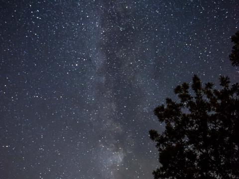 Milky-way Stars Sky Trees Night Dark