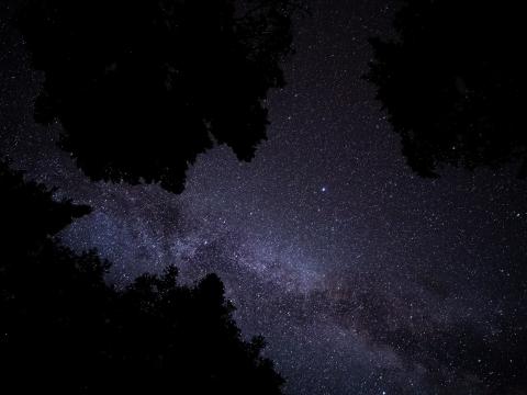 Milky-way Stars Starry-sky Trees Night Dark