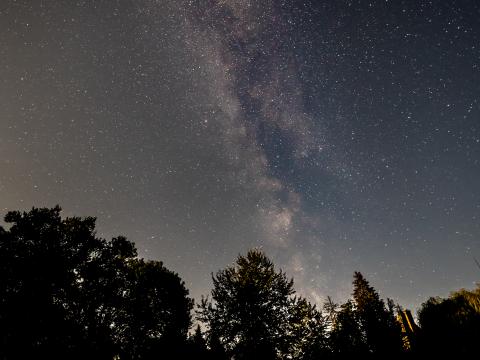 Milky-way Stars Trees Night Sky Dark