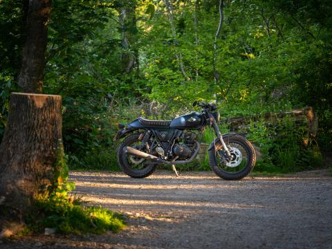 Motorcycle Bike Black Forest Trees