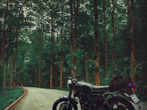 Motorcycle Bike Black Road Forest