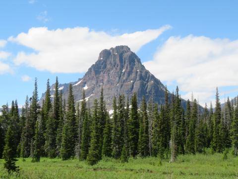 Mountain Forest Trees Clouds Nature Landscape