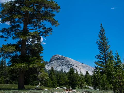 Mountain Forest Trees Sky Landscape Nature