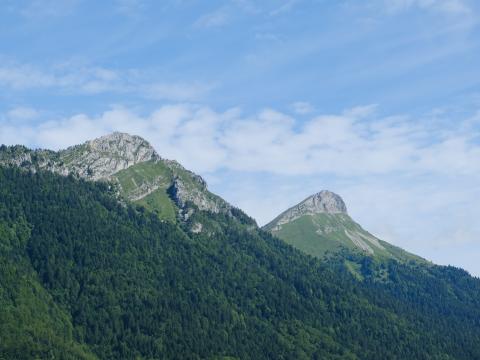 Mountain Landform Trees Forest Landscape Nature