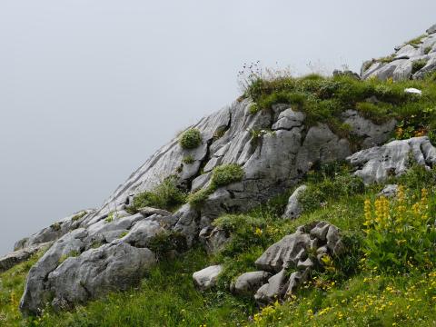 Mountain Stones Grass Nature