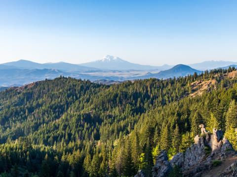 Mountains Forest Landscape Nature Aerial-view