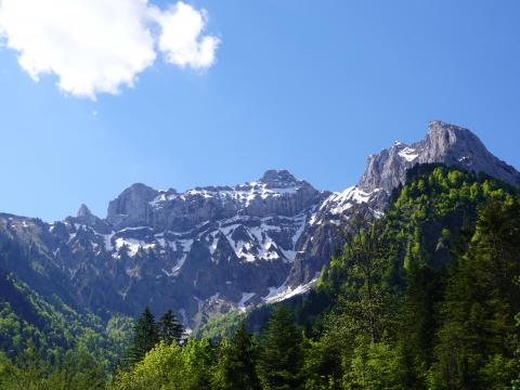 Mountains Forest Trees Clouds Nature Landscape