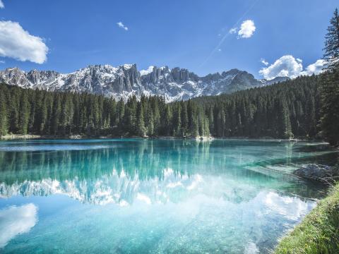 Mountains Forest Trees Lake Reflection Landscape