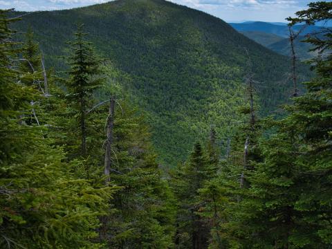 Mountains Forest Trees Sky Clouds Landscape Nature