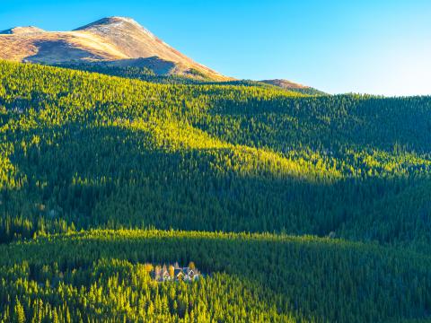 Mountains Hills Forest Trees Houses Landscape Aerial-view