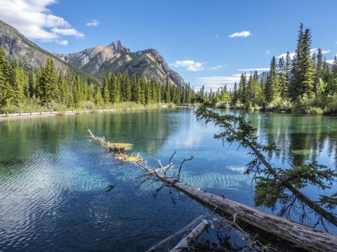 Mountains Lake Forest Trees Landscape