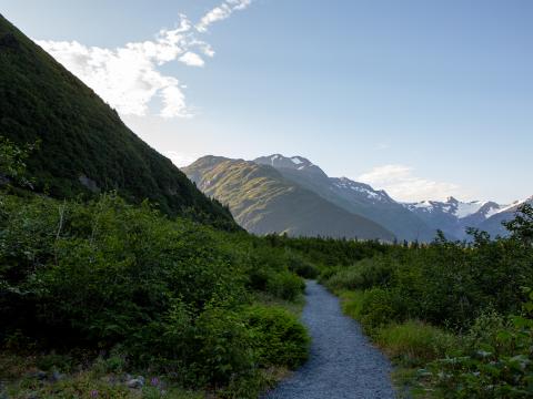 Mountains Path Bushes Nature