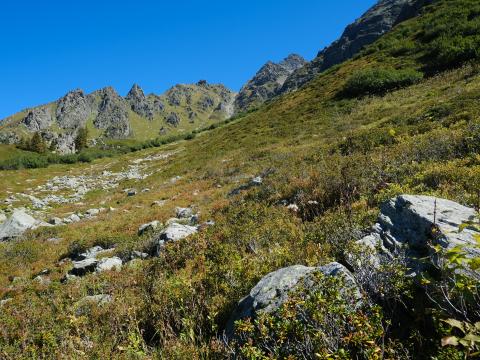 Mountains Piedmont Grass Nature Landscape