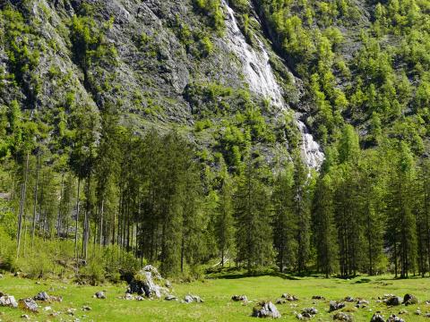 Mountains Trees Greenery Landscape Nature