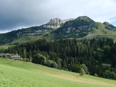 Mountains Trees Hill Landscape Nature