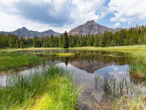 Mountains Trees Lake Grass Nature Landscape